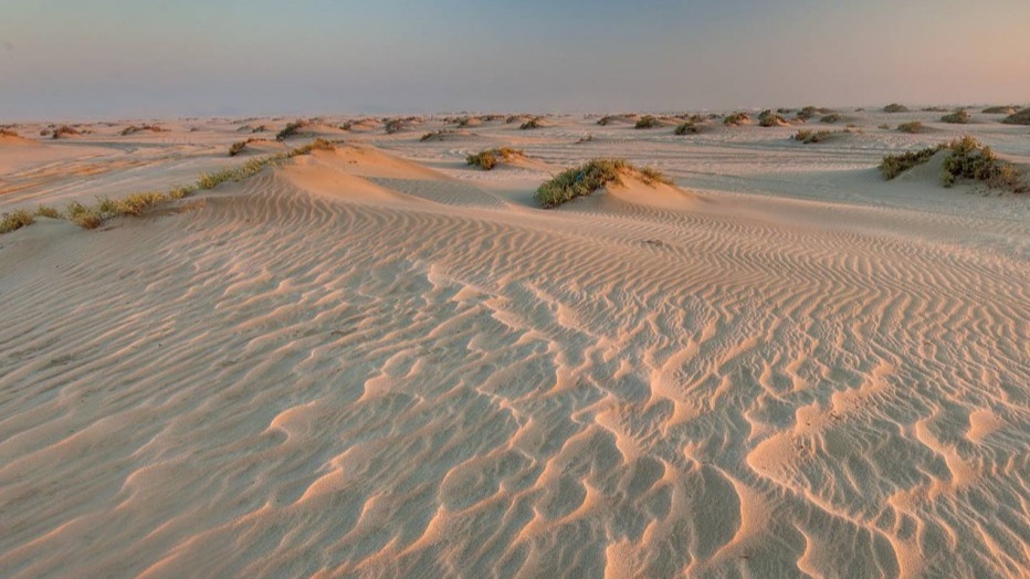Qatar Tourism enhances desert experiences for residents and international visitors