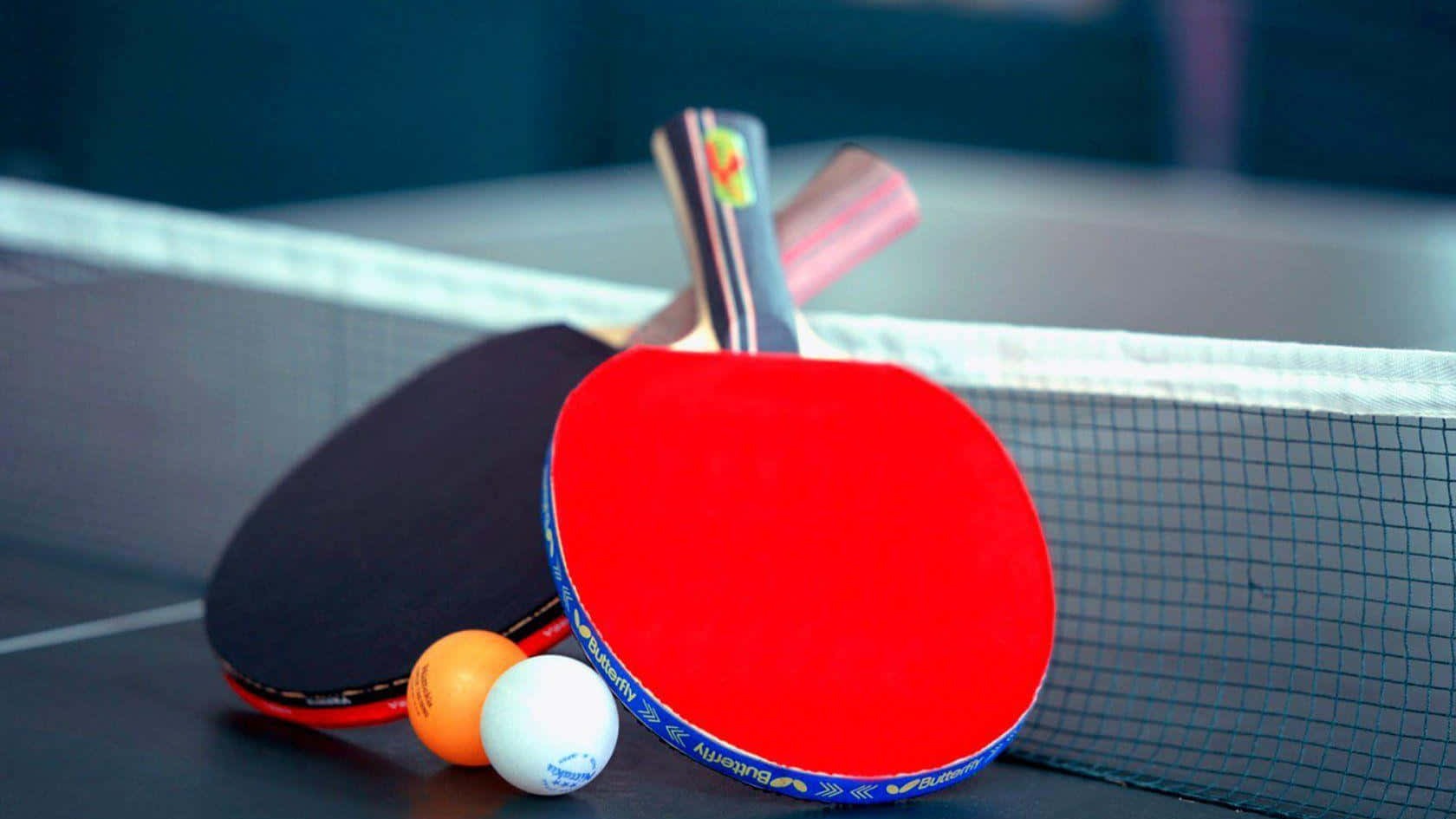 WTT Star Contender Doha 2024