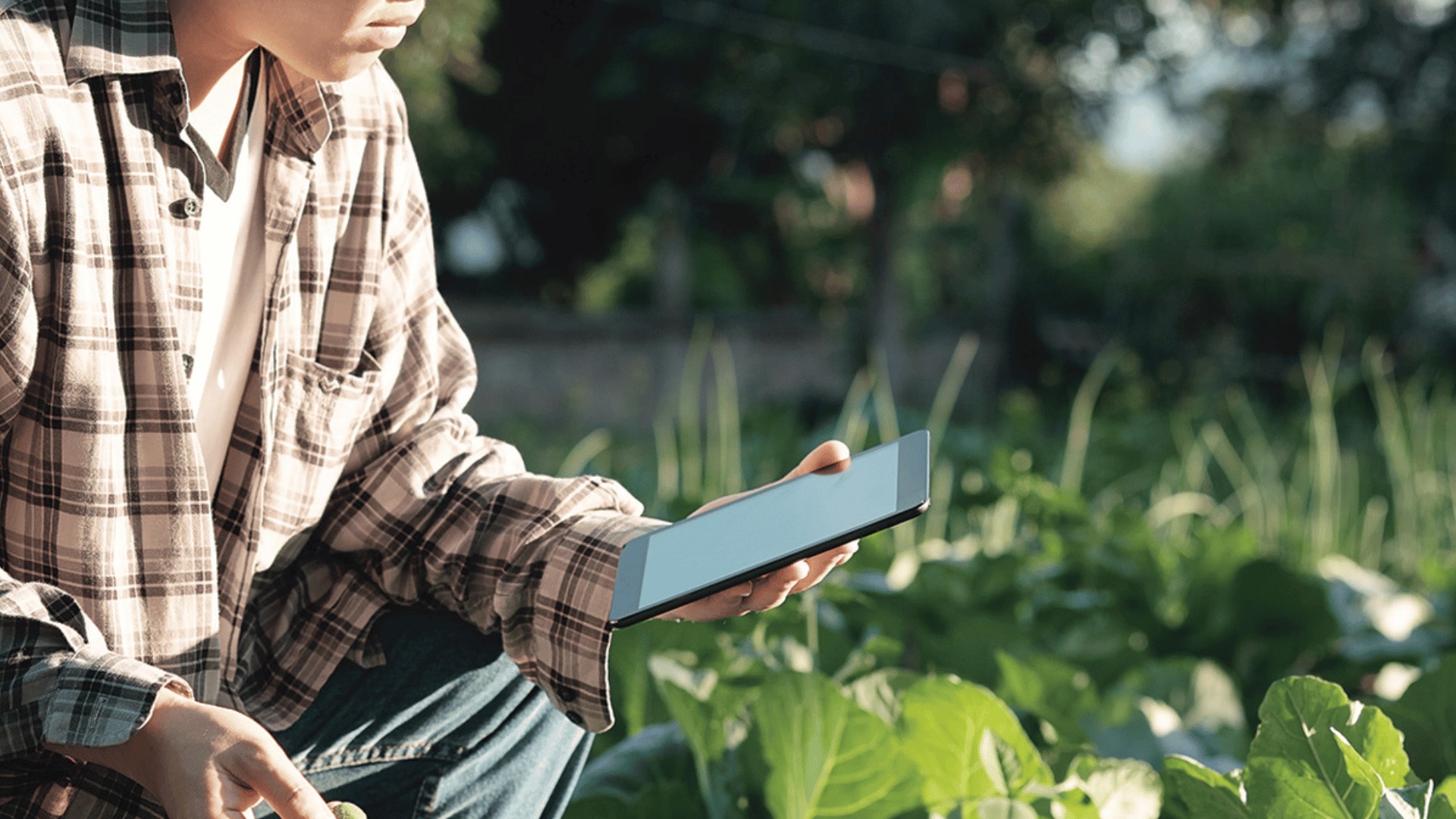 Innovation, Investments and Entrepreneurship in the Agritech & Foodtech Sectors