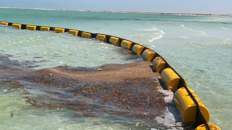 Qatar Museums Starts Clean-Up Project at Al Zubarah’s Historic Site
