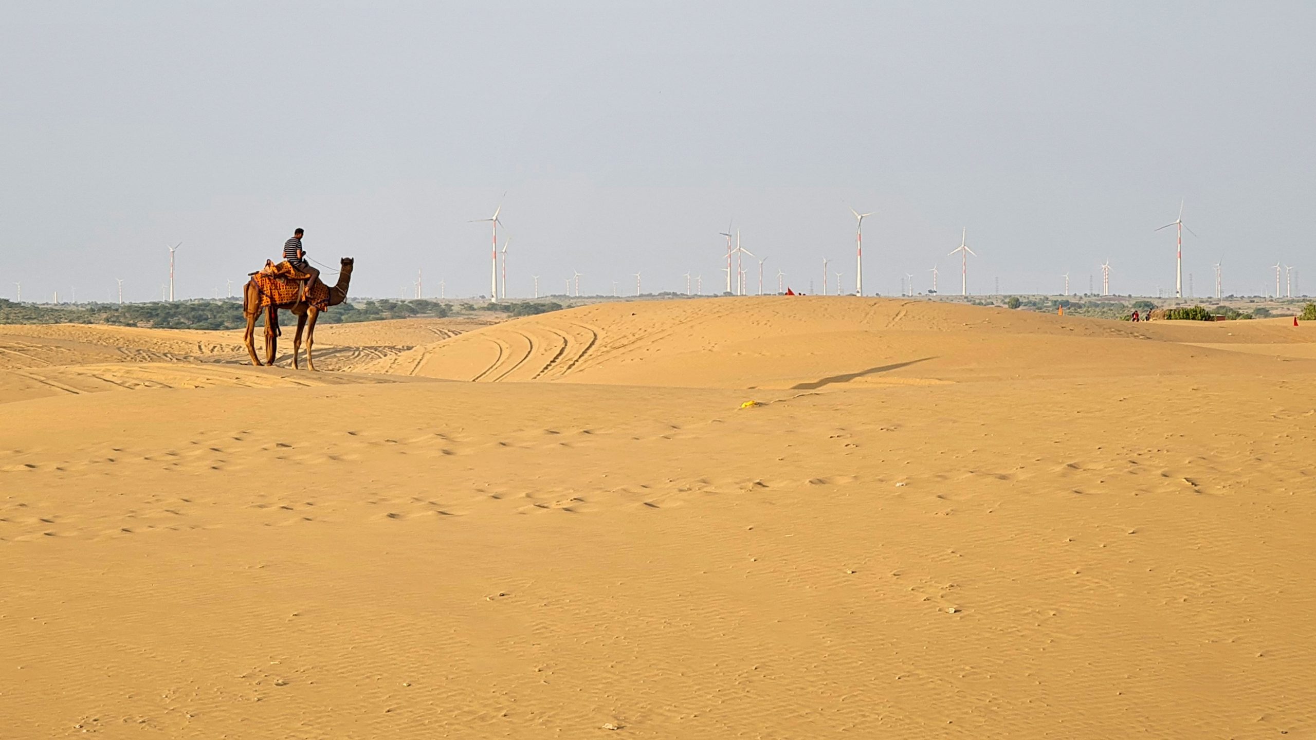 Doha City Tour and Souq Waqif Excursion