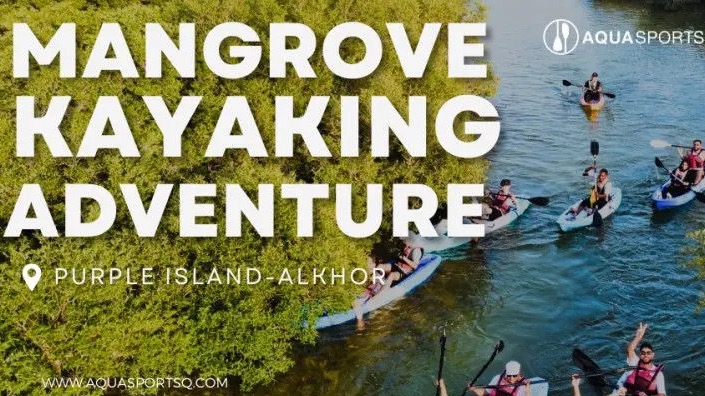 Mangrove Kayaking in Qatar