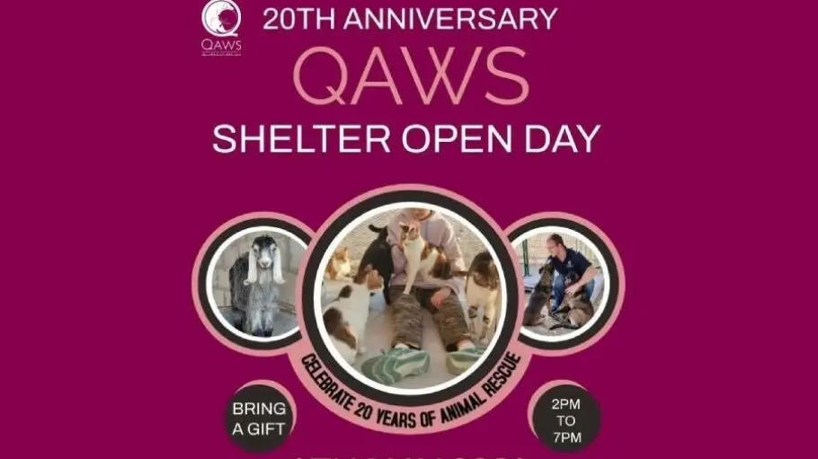 QAWS 20th Anniversary Shelter Open Day in Doha