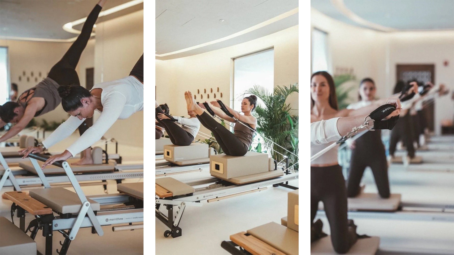 Honour Earth: A New Wellness Concept in Doha, Fusing Nature and Healing for a Holistic Experience