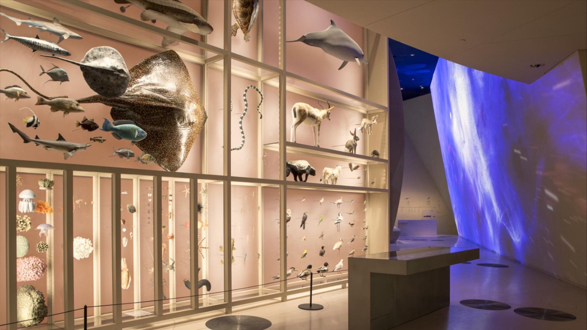 Qatar Museums Unveils an Inspiring August Calendar of Cultural Activities